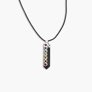 Shungit Anhänger in Geschenkbox Chakra