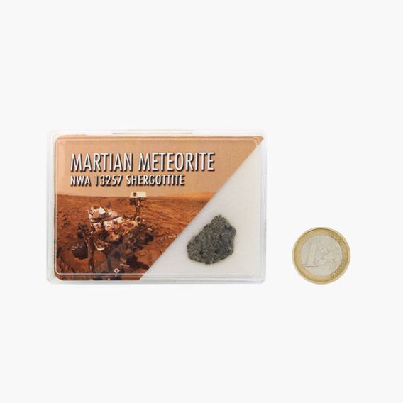 Meteorit NWA 13257 vom Mars