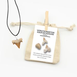 Haifischzahn Anhänger mit Lederband