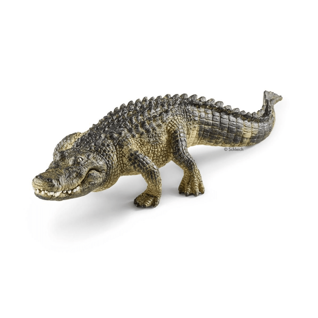 Schleich Alligator – Bild 2