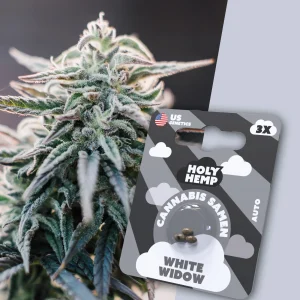 White Widow Cali Seeds (Automatic) von Holy Hemp (3x)